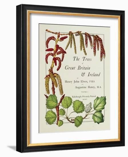 The Trees of Great Britain and Ireland, Volume 1-Henry John and Augustine Elwes and Henry-Framed Giclee Print