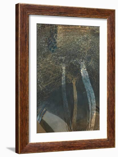 The Trees of Life I-Doug Chinnery-Framed Photographic Print