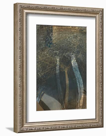 The Trees of Life I-Doug Chinnery-Framed Photographic Print