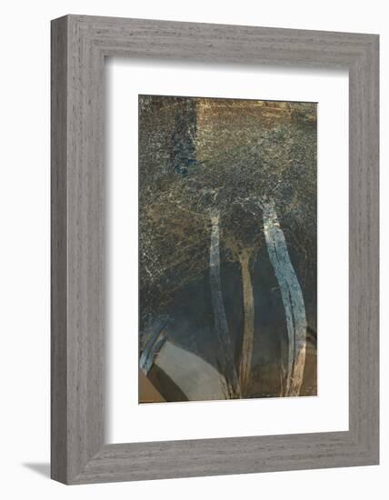 The Trees of Life I-Doug Chinnery-Framed Photographic Print