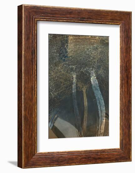 The Trees of Life I-Doug Chinnery-Framed Photographic Print