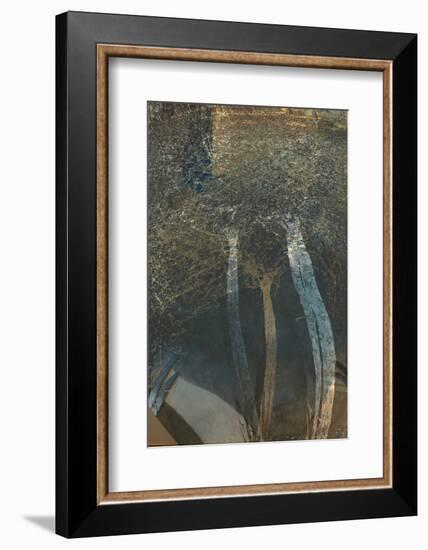 The Trees of Life I-Doug Chinnery-Framed Photographic Print