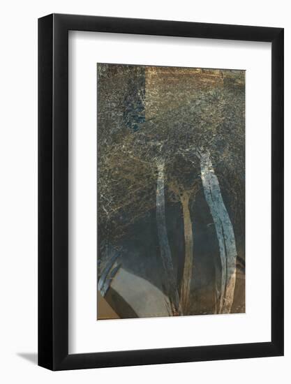 The Trees of Life I-Doug Chinnery-Framed Photographic Print