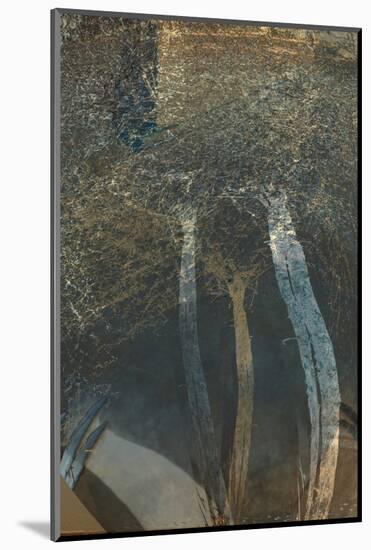 The Trees of Life I-Doug Chinnery-Mounted Photographic Print