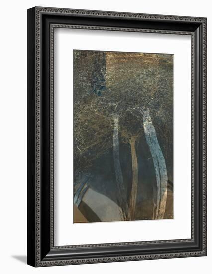 The Trees of Life I-Doug Chinnery-Framed Photographic Print