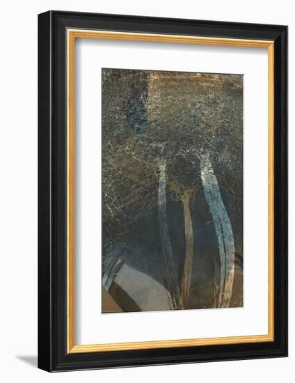 The Trees of Life I-Doug Chinnery-Framed Photographic Print