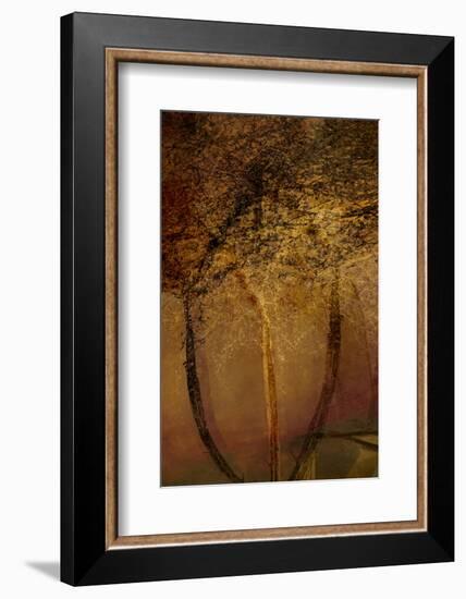 The Trees of Life II-Doug Chinnery-Framed Photographic Print