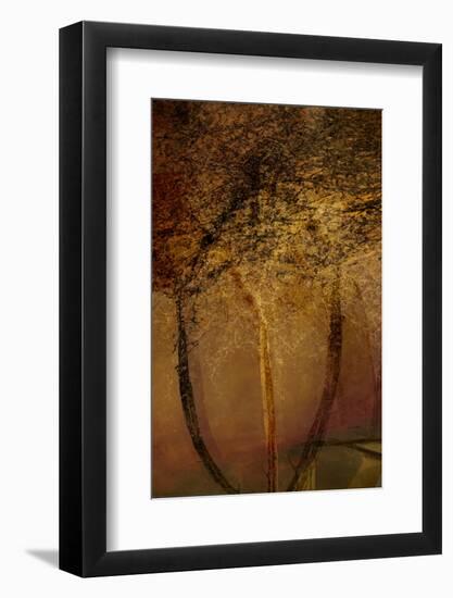 The Trees of Life II-Doug Chinnery-Framed Photographic Print