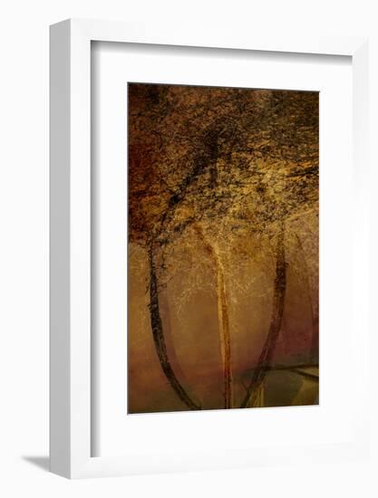 The Trees of Life II-Doug Chinnery-Framed Photographic Print