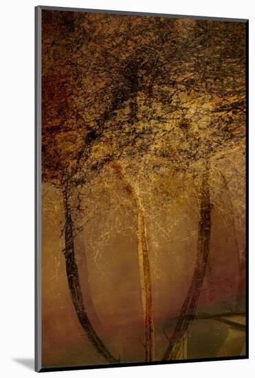 The Trees of Life II-Doug Chinnery-Mounted Photographic Print
