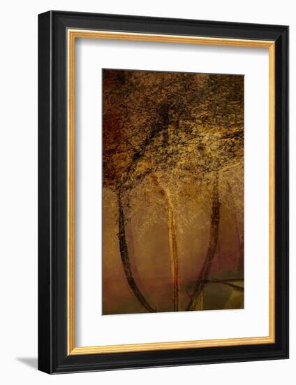 The Trees of Life II-Doug Chinnery-Framed Photographic Print