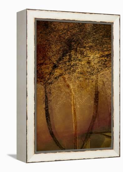 The Trees of Life II-Doug Chinnery-Framed Premier Image Canvas