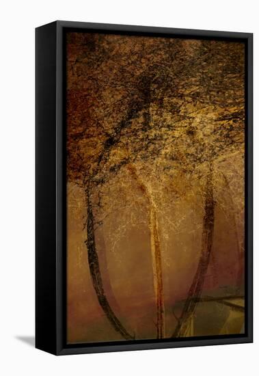 The Trees of Life II-Doug Chinnery-Framed Premier Image Canvas