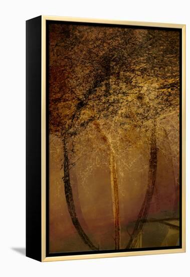 The Trees of Life II-Doug Chinnery-Framed Premier Image Canvas