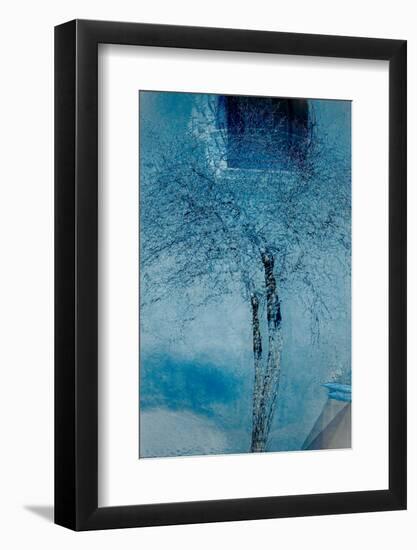 The Trees of Life III-Doug Chinnery-Framed Photographic Print