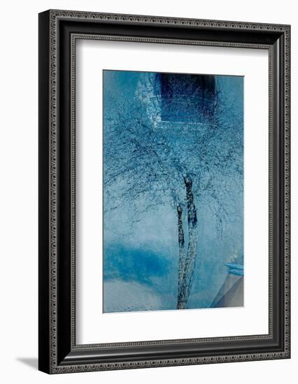 The Trees of Life III-Doug Chinnery-Framed Photographic Print