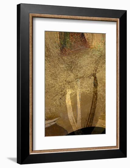 The Trees of Life IV-Doug Chinnery-Framed Photographic Print