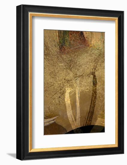 The Trees of Life IV-Doug Chinnery-Framed Photographic Print