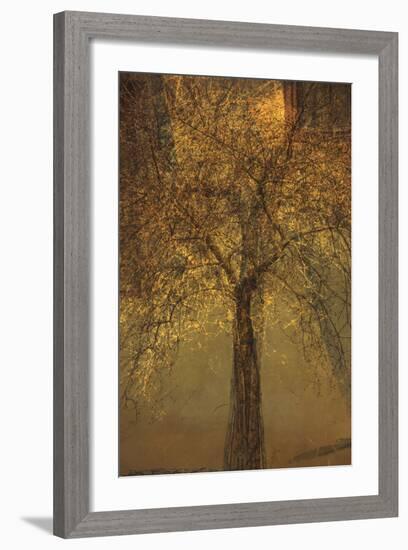 The Trees of Life VI-Doug Chinnery-Framed Premium Photographic Print