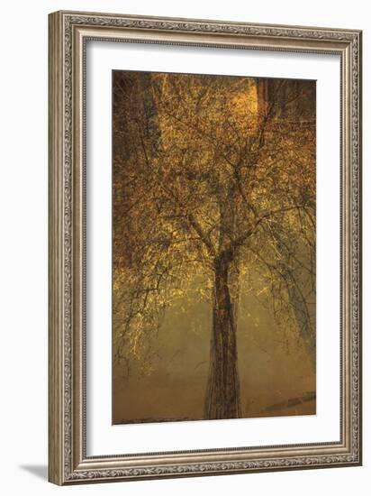 The Trees of Life VI-Doug Chinnery-Framed Photographic Print