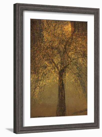 The Trees of Life VI-Doug Chinnery-Framed Photographic Print