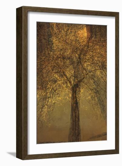 The Trees of Life VI-Doug Chinnery-Framed Photographic Print