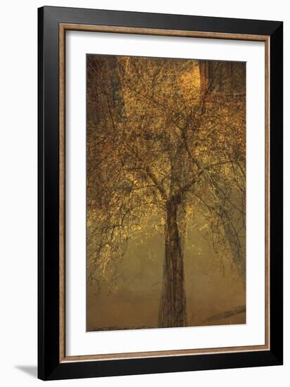 The Trees of Life VI-Doug Chinnery-Framed Photographic Print