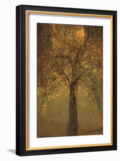 The Trees of Life VI-Doug Chinnery-Framed Photographic Print