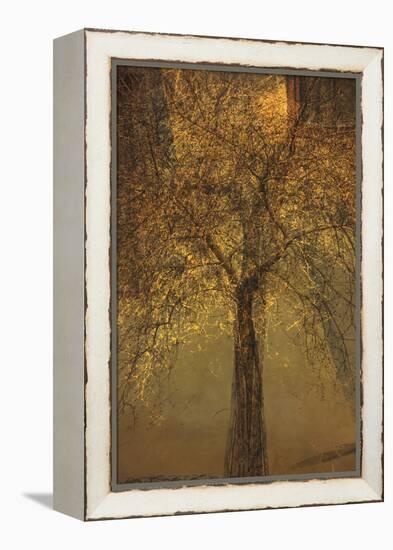 The Trees of Life VI-Doug Chinnery-Framed Premier Image Canvas
