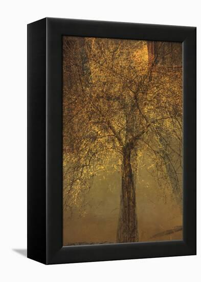 The Trees of Life VI-Doug Chinnery-Framed Premier Image Canvas