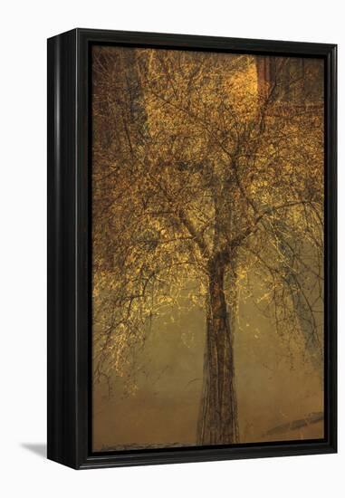 The Trees of Life VI-Doug Chinnery-Framed Premier Image Canvas