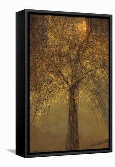 The Trees of Life VI-Doug Chinnery-Framed Premier Image Canvas