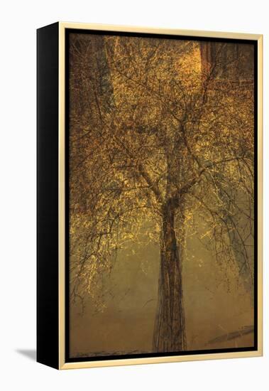 The Trees of Life VI-Doug Chinnery-Framed Premier Image Canvas