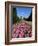 The Trent Building, Nottingham University, University Park, Nottingham, Nottinghamshire, England-Neale Clarke-Framed Photographic Print