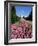 The Trent Building, Nottingham University, University Park, Nottingham, Nottinghamshire, England-Neale Clarke-Framed Photographic Print