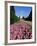 The Trent Building, Nottingham University, University Park, Nottingham, Nottinghamshire, England-Neale Clarke-Framed Photographic Print