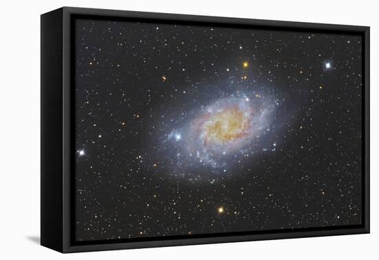 The Triangulum Galaxy, also known as Messier 33-null-Framed Premier Image Canvas