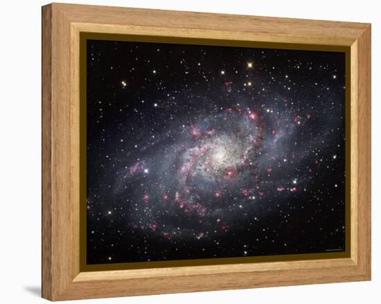 The Triangulum Galaxy-Stocktrek Images-Framed Premier Image Canvas