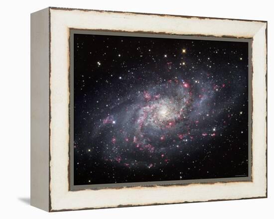 The Triangulum Galaxy-Stocktrek Images-Framed Premier Image Canvas