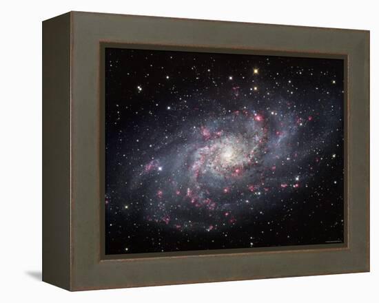 The Triangulum Galaxy-Stocktrek Images-Framed Premier Image Canvas