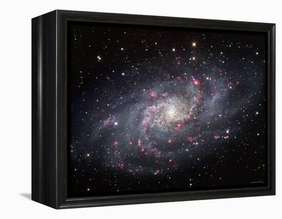 The Triangulum Galaxy-Stocktrek Images-Framed Premier Image Canvas