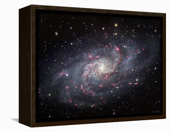 The Triangulum Galaxy-Stocktrek Images-Framed Premier Image Canvas