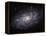 The Triangulum Galaxy-Stocktrek Images-Framed Premier Image Canvas