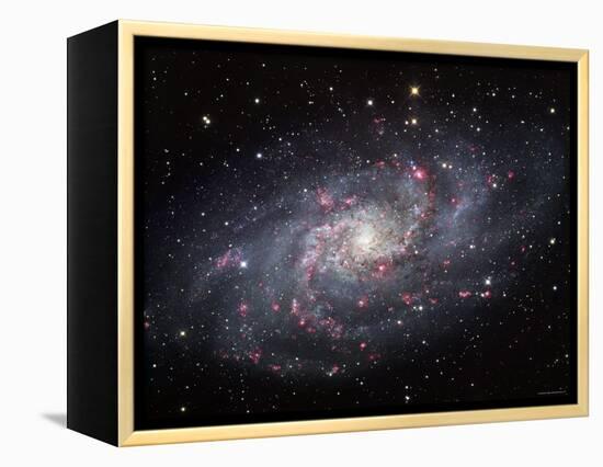 The Triangulum Galaxy-Stocktrek Images-Framed Premier Image Canvas