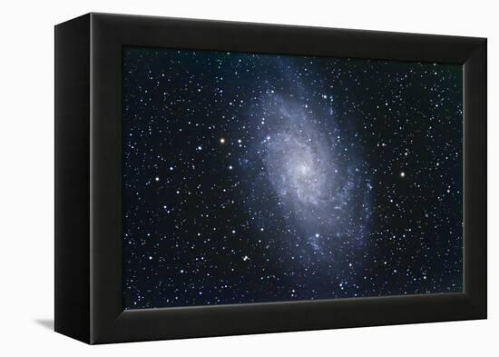 The Triangulum Galaxy-null-Framed Premier Image Canvas