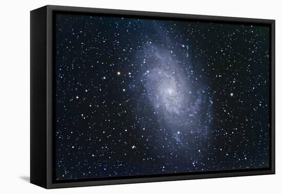 The Triangulum Galaxy-null-Framed Premier Image Canvas