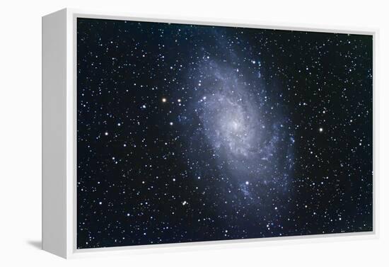 The Triangulum Galaxy-null-Framed Premier Image Canvas