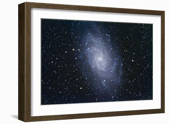 The Triangulum Galaxy-null-Framed Photographic Print