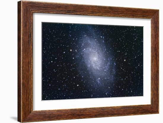 The Triangulum Galaxy-null-Framed Photographic Print