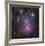 The Trifid Nebula in Sagittarius-Robert Gendler-Framed Giclee Print